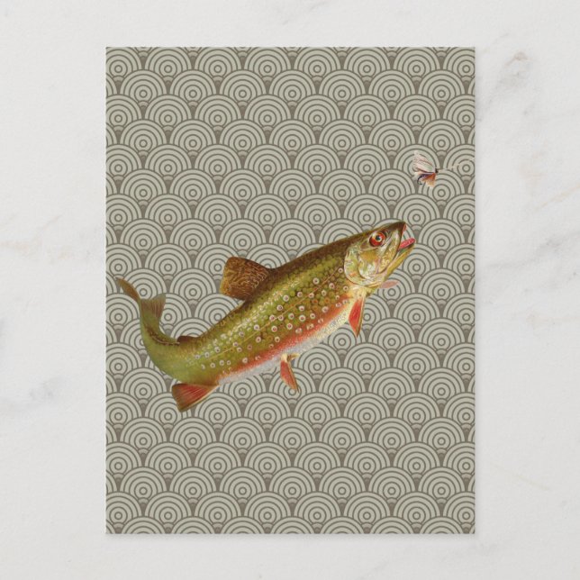 Vintage Rainbow Trout Fly Fishing Postcard (Front)
