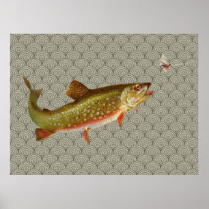 Vintage rainbow trout fly fishing poster