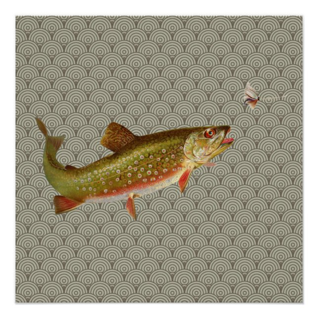 Vintage Rainbow Trout Fly Fishing Poster (Front)