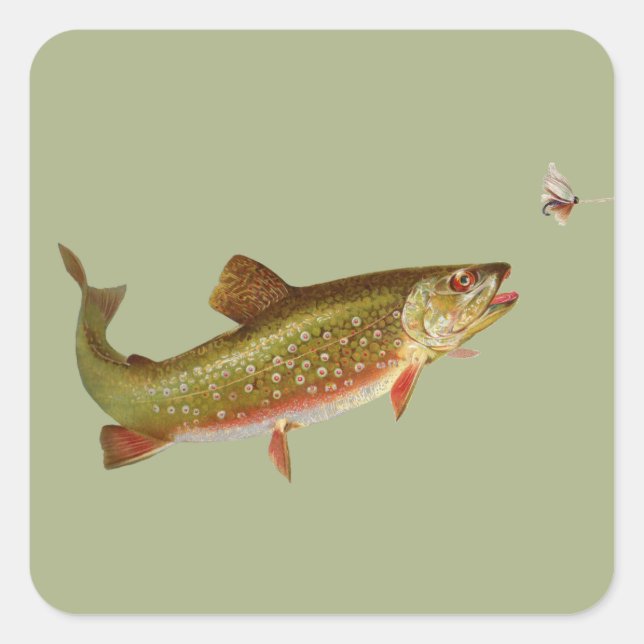 Vintage Rainbow Trout Fly Fishing Square Sticker (Front)