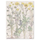 Vintage Ranunculus Wildflower Flowers Tissue Paper