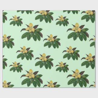 vintage rare and beautiful orchid art wrapping paper