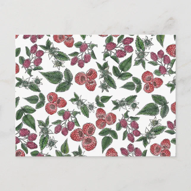 Vintage Raspberry Design Pattern Vintage Raspberry Leaves Illustration Pattern Postcard | Zazzle