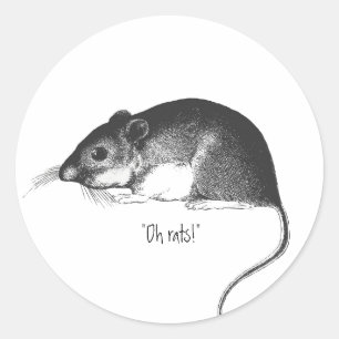 vintage rat mouse retro stylish chic    classic round sticker
