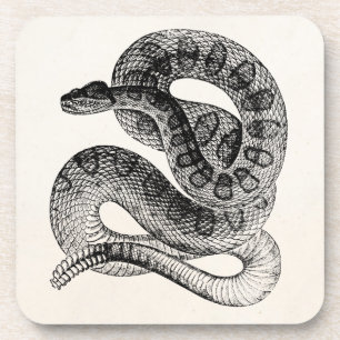 Vintage Rattlesnake Reptile Snake Template Coaster