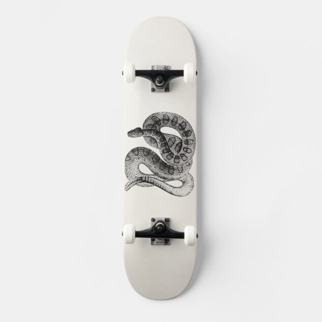 Vintage Rattlesnake Reptile Snake Template Skateboard (Front)