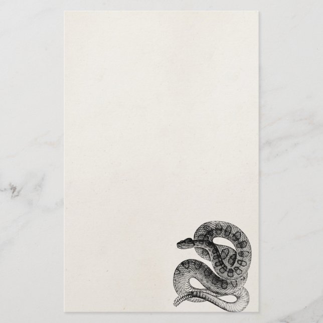 Vintage Rattlesnake Reptile Snake Template Stationery (Front)