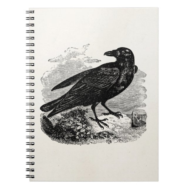 Vintage Raven Black Bird Crow Personalised Birds Notebook (Front)