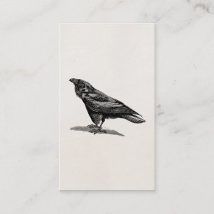 Vintage Raven Crow Blackbird Bird Illustration Business Card
