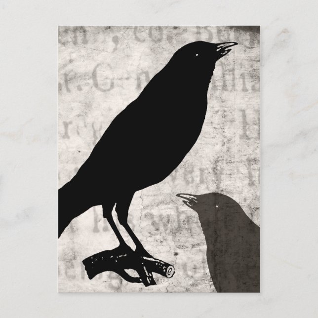 Vintage Raven Goth Collage Customised Birds Crow Postcard (Front)