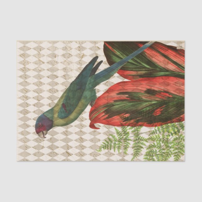 Vintage Red and Green Tropical Parrot Tissue Paper (Front)