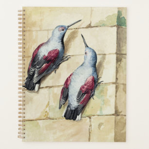 Vintage Red and Grey Bird Watercolor Art Planner