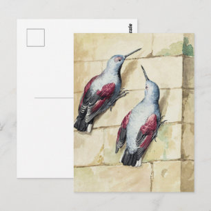 Vintage Red and Grey Bird Watercolor Art Postcard