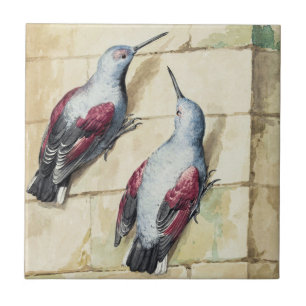 Vintage Red and Grey Bird Watercolor Art Tile