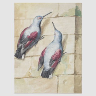 Vintage Red and Grey Bird Watercolor Art Tissue Paper