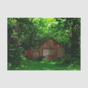Vintage Red Barn Surrounded by Stunning Forest Tissue Paper