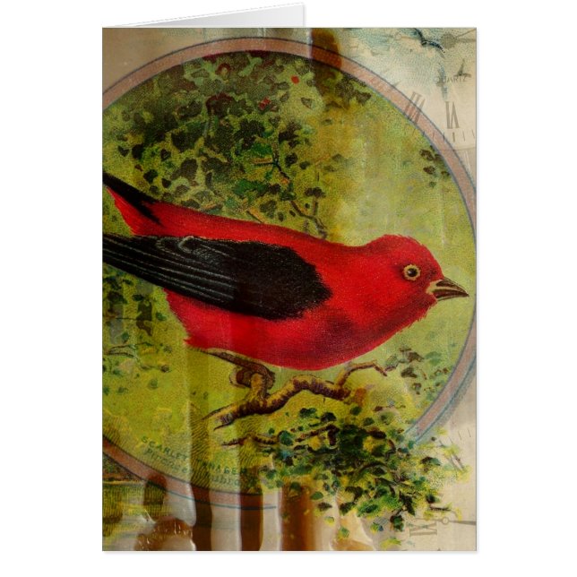Vintage Red Bird All Occasions (Front)