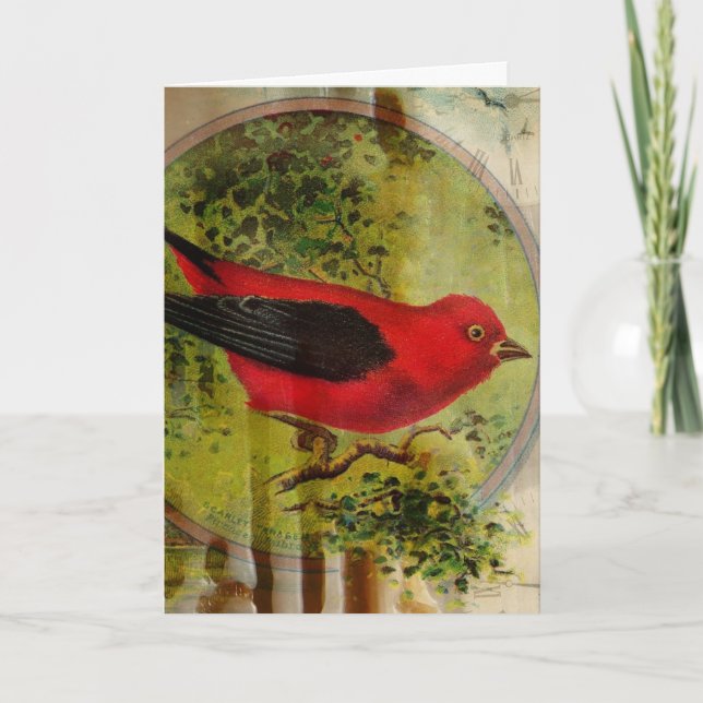 Vintage Red Bird Card (Front)
