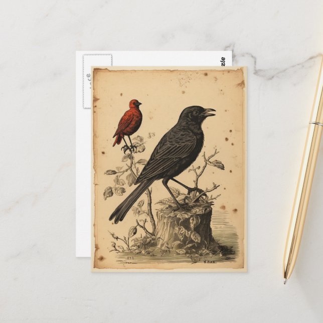Vintage Red Bird & Raven Postcard (Front/Back In Situ)