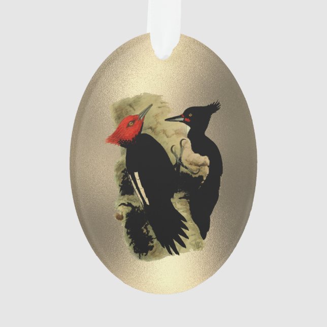 Vintage Red Black Magellanic Woodpeckers Christmas Ornament (Back)