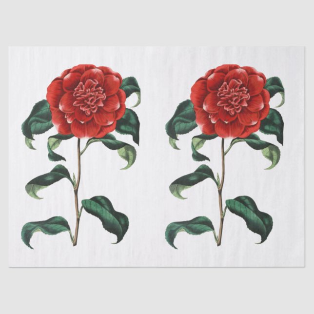 Vintage Red Camellia Flower Tissue Paper (Front)