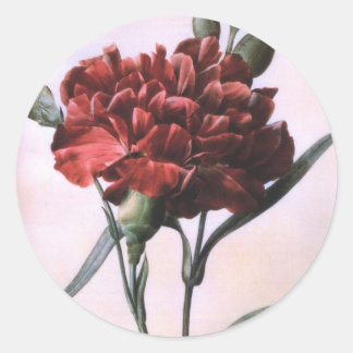 Vintage Red Carnation Classic Round Sticker