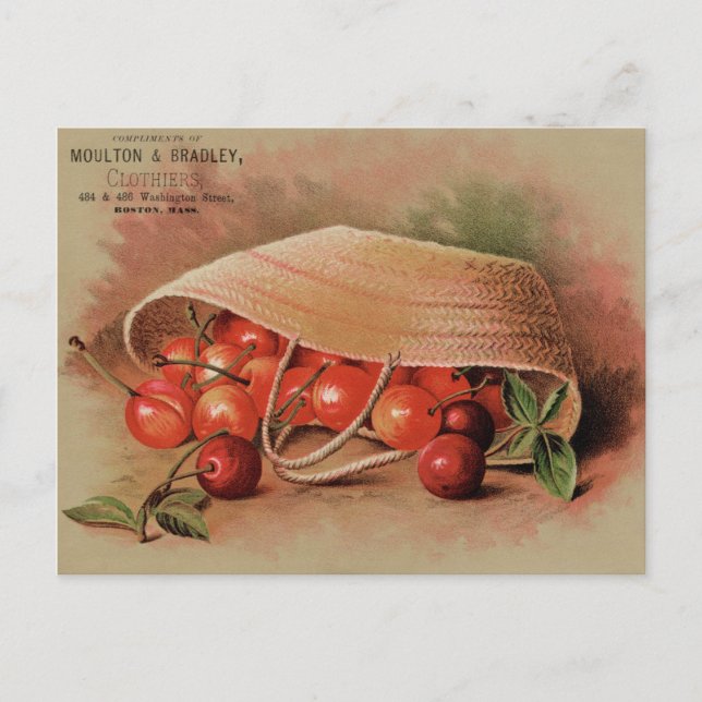 Vintage Red Cherries in a Basket Postcard (Front)