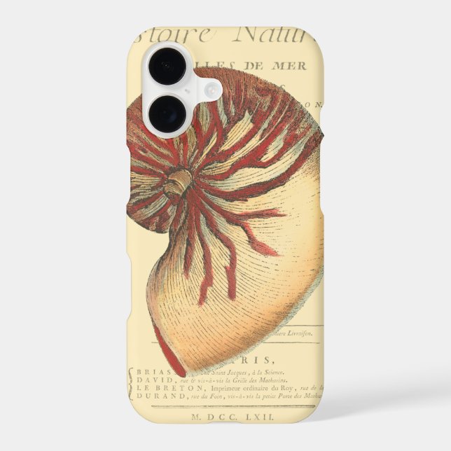 Vintage Red Conch Shell (Back)