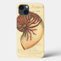 Vintage Red Conch Shell