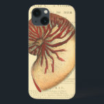 Vintage Red Conch Shell iPhone 13 Case<br><div class="desc">In this vivid image,  you can see in vintage natural and unique style of the red Conch shell up close. This unique type of art has black and red shading to accent the spiralling of this conch shell. Get this conch shell with an sepia background on your product today.</div>