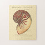 Vintage Red Conch Shell Jigsaw Puzzle<br><div class="desc">In this vivid image,  you can see in vintage natural and unique style of the red Conch shell up close. This unique type of art has black and red shading to accent the spiralling of this conch shell. Get this conch shell with an sepia background on your product today.</div>