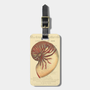 Vintage Red Conch Shell Luggage Tag