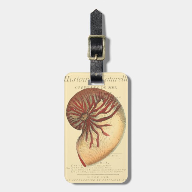 Vintage Red Conch Shell Luggage Tag (Front Vertical)