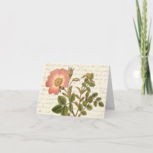 Vintage Red French Rose Thank You Notes