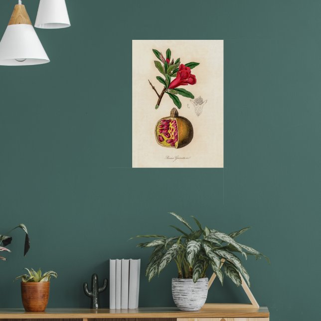 Vintage Red Fruit Pomegranate And Flower Art Poster (Living Room 1)