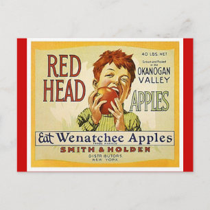 Vintage Red Head Brand Washington Apples Postcards