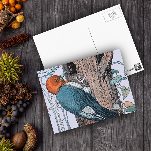 Vintage Red Head Woodpecker Tree Postcard (Woodpecker on tree with red head blue body on light blue postcard.)
