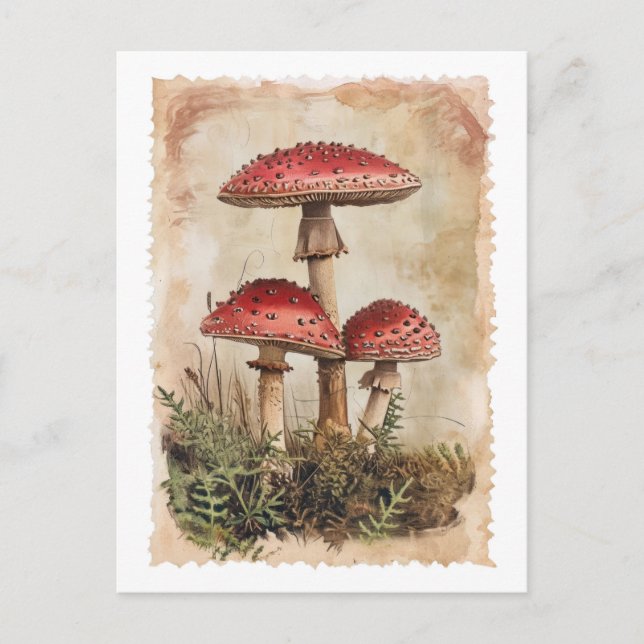 Vintage Red Mushroom Postcard (Front)