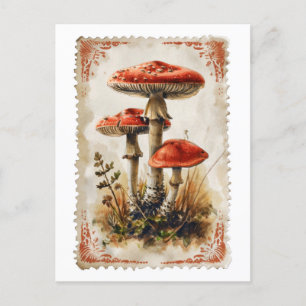 Vintage Red Mushroom Postcard