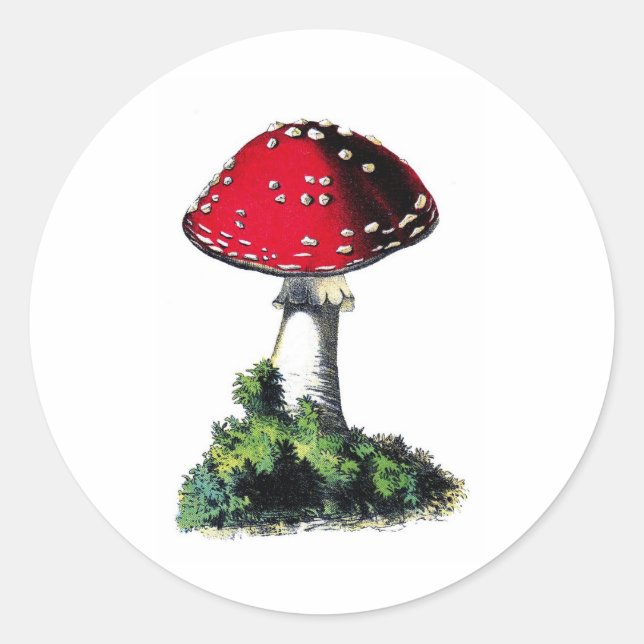 Vintage Red Mushroom  Print Classic Round Sticker (Front)