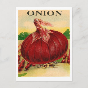 vintage red onion seed packet postcard