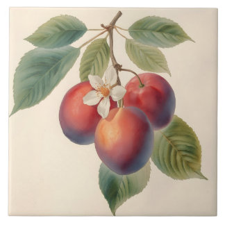 Vintage Red Plum Fruit Branch with Plum Blossom  Tile