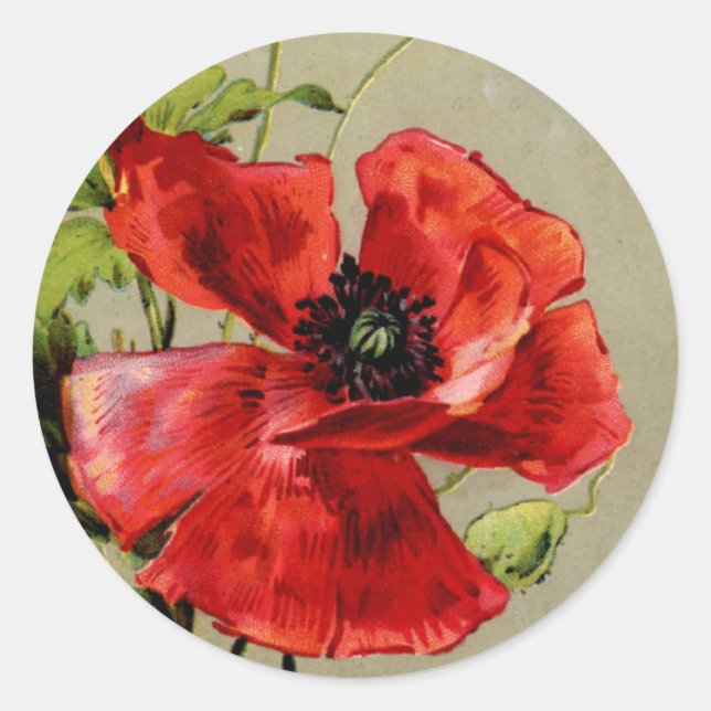 Vintage Red Poppy Classic Round Sticker (Front)