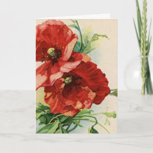 Vintage Red Poppy Flower Card
