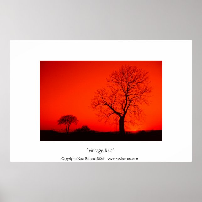 Vintage Red Poster (Front)