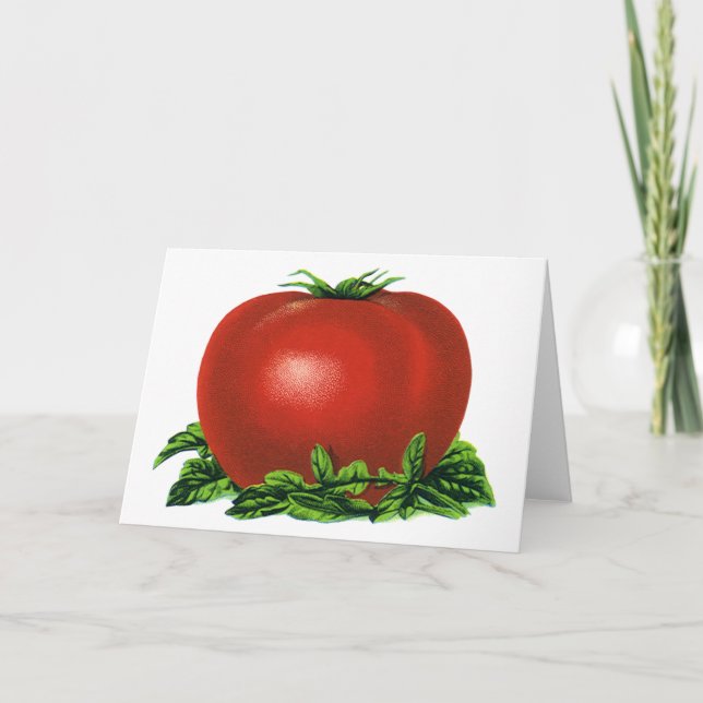 Vintage Red Ripe Tomato, Vegetables and Fruits Card (Front)