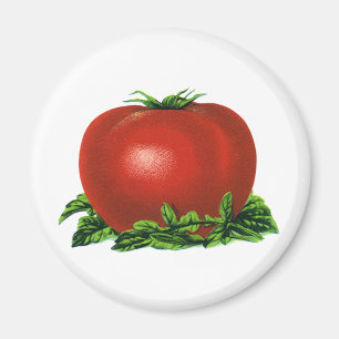 Vintage Red Ripe Tomato, Vegetables and Fruits Magnet
