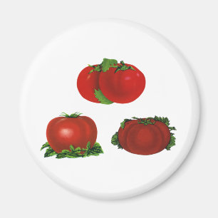 Vintage Red Ripe Tomatoes Food, Fruits, Vegetables Magnet