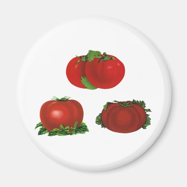 Vintage Red Ripe Tomatoes Food, Fruits, Vegetables Magnet (Front)