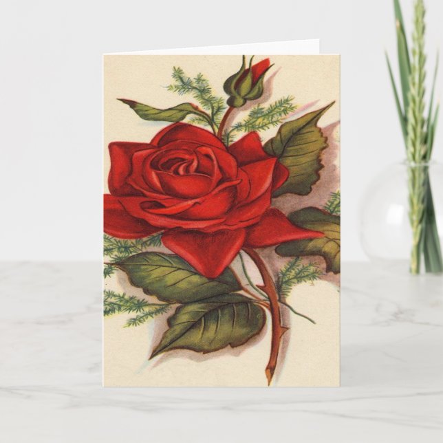 Vintage, Red Rose Birthday Card (Front)